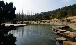 鹿泉海山公园爆料新闻,揭秘背后真相